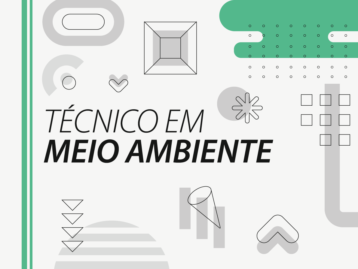 Técnico em Meio Ambiente