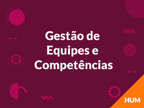 Gestão de Equipes e Competências